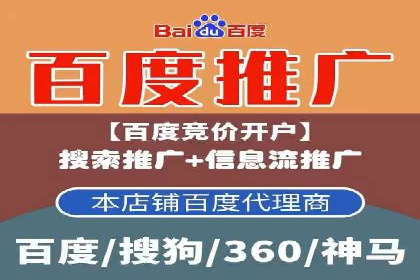 解析sem代运营公司经典案例：如何实现ROI最大化